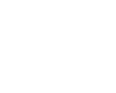 company of heros logo