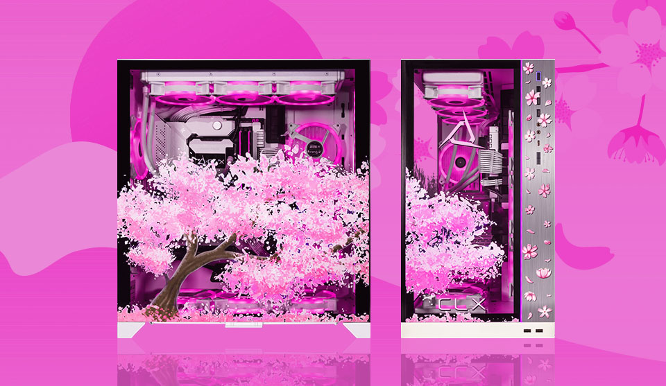 clx sakura